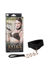      Entice Posture Collar with Leash   