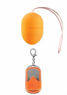  10 Speed Remote Vibrating Egg Small 