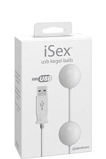   USB KEGEL BALLS     
