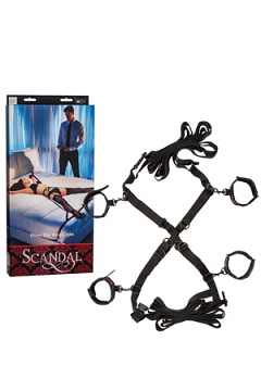      Scandal Over The Bed Cross